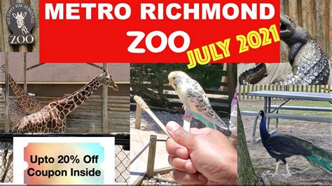 00, to visitors presenting their EBT card. . Richmond zoo ebt discount